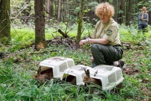    Фото: Департамент природы Москвы