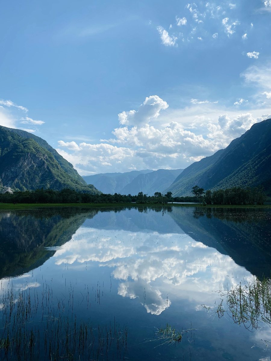 Фото из сети Интернет - Unsplash - Alexey Murzin
