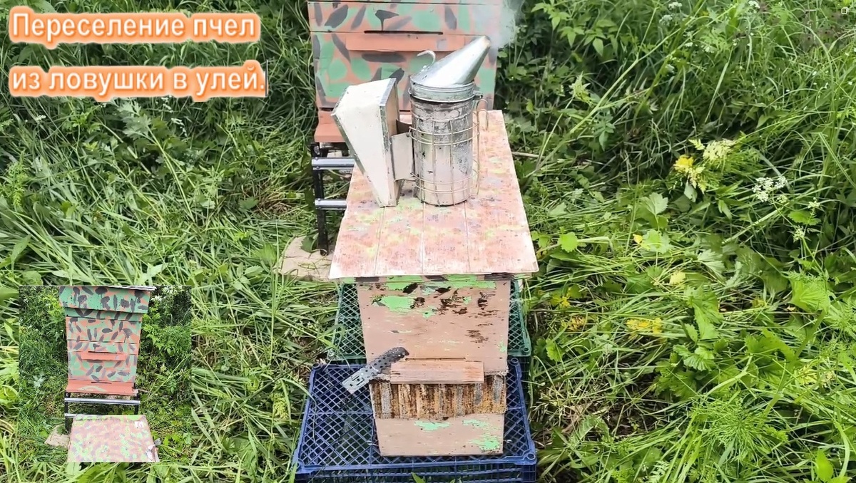 Друзья! Сегодняшний ролик вышел на Рутубе                https://rutube.ru/video/73fada1d2fb3a561f341ead5bfb93b22/