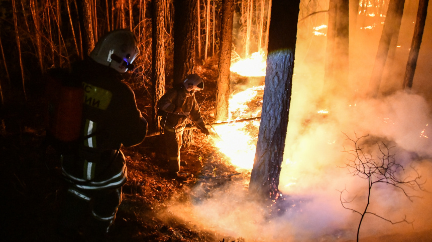    Фото: © РИА Новости/Евгений Епанчинцев; 5-tv.ru