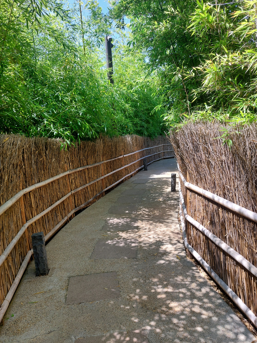 Японский сад