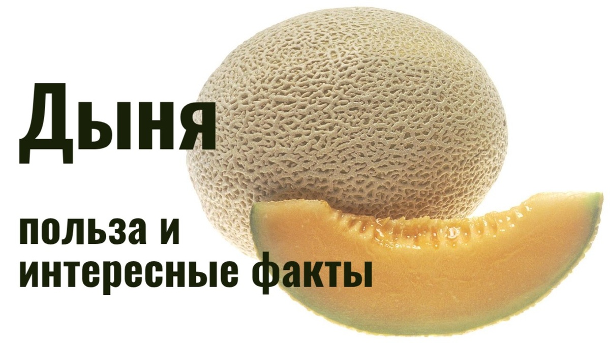 Дыня