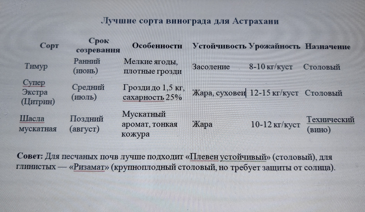 Таблица и фото Натальи Мироновой