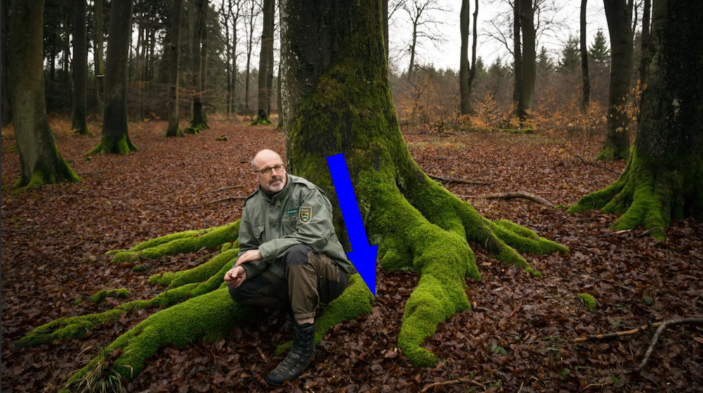    ТАЙНА ДИКИХ ЛЮДЕЙ ЕВРОПЫ КТО ОНИ И ПОЧЕМУ ИХ БОЯТСЯ ДАЖЕ В 2024 ГОДУ