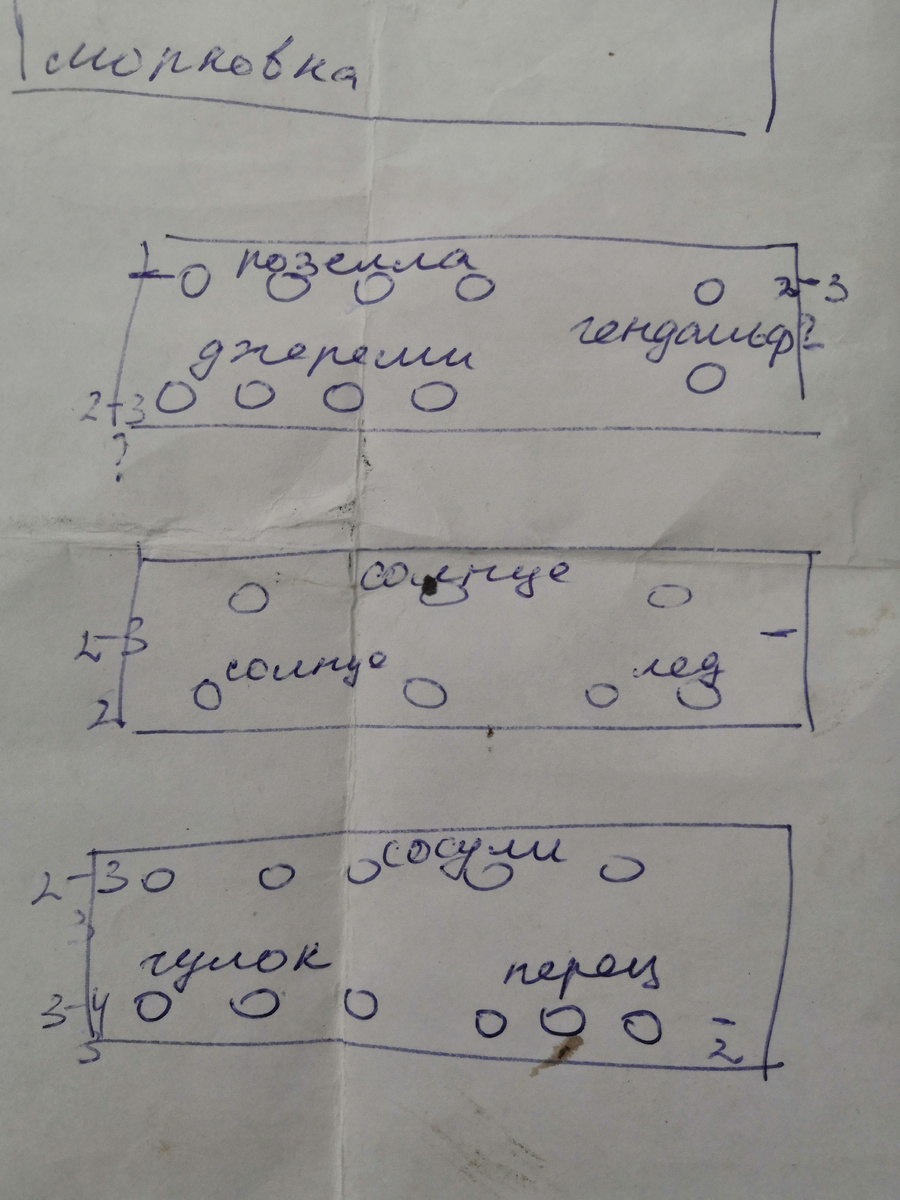 План помидорных грядок, потрепанный, потмоу как не раз бывал на этих самых грядках