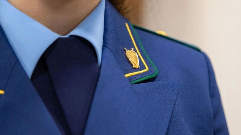    Фото: Федор Воронов / «Ямал-Медиа»