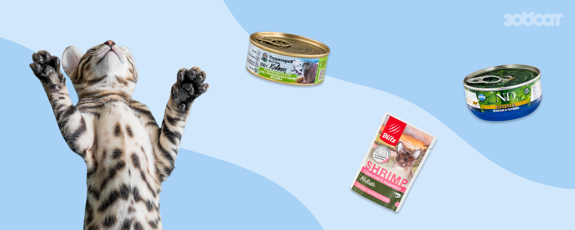 Влжаные корма для кошек с оптимальным содеражанием таурина: Farmina, Blitz, ТерриториЯ