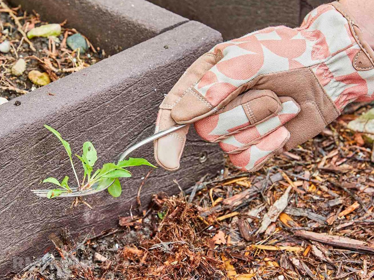 Фото thespruce.com