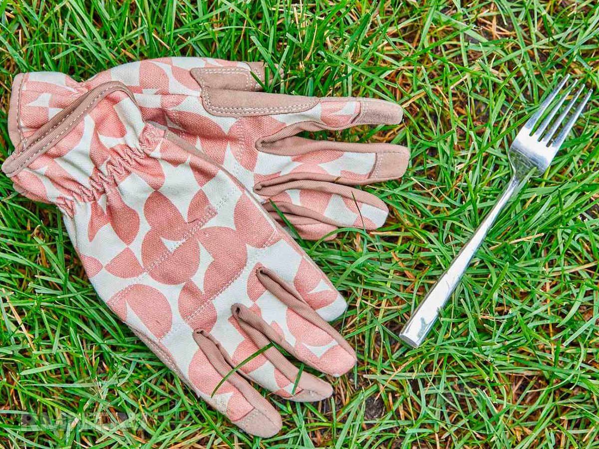 Фото thespruce.com