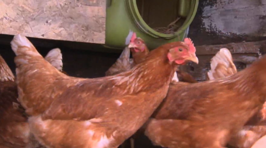    Источник фото: