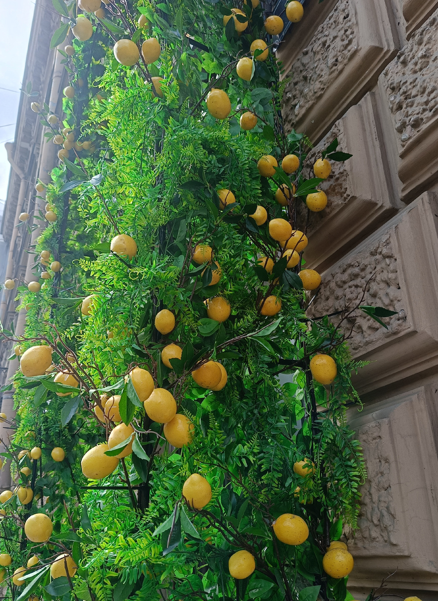 Оформление в Петербурге