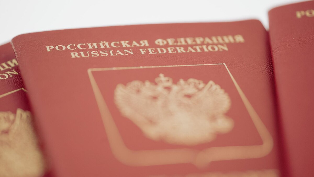    Фото: ИЗВЕСТИЯ/Телеканал «78»