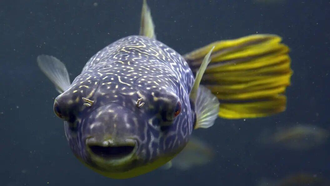     / Источник: © Michael Dietrich/Global Look Press