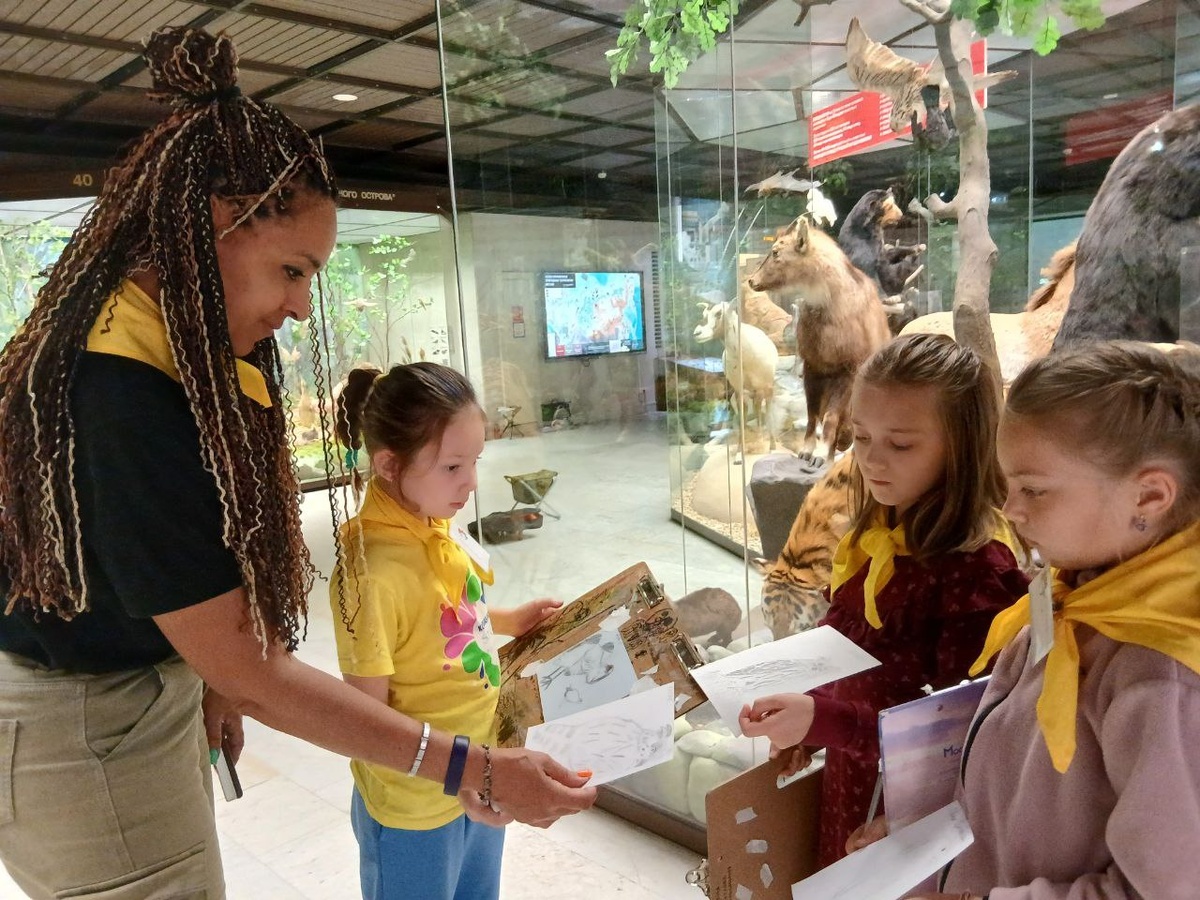 Разбираем наши ошибки. Фото автора канала 