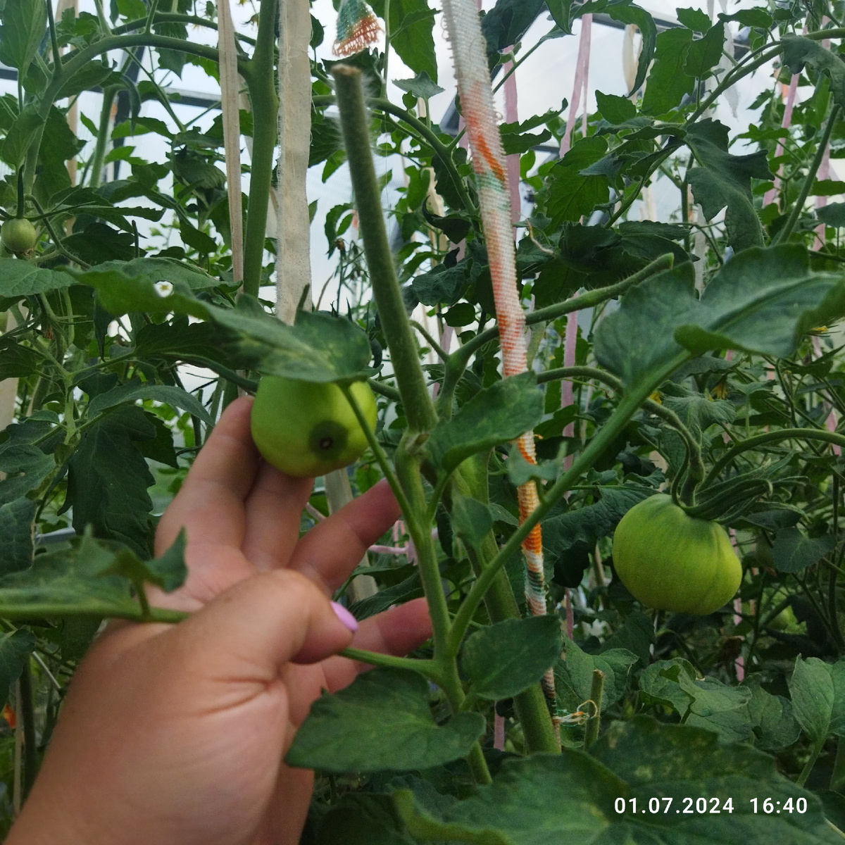 2024 год. Черное сердце Бреда