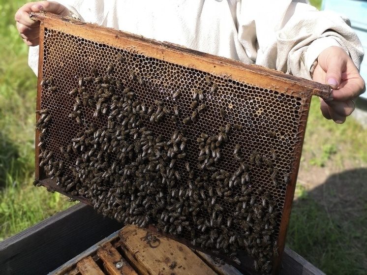     фото: пресс-служба Уральского таможенного управления