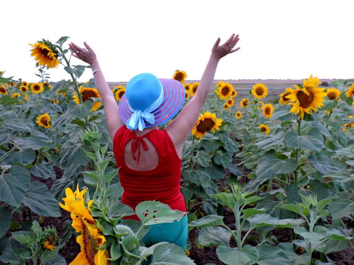 Авторское фото