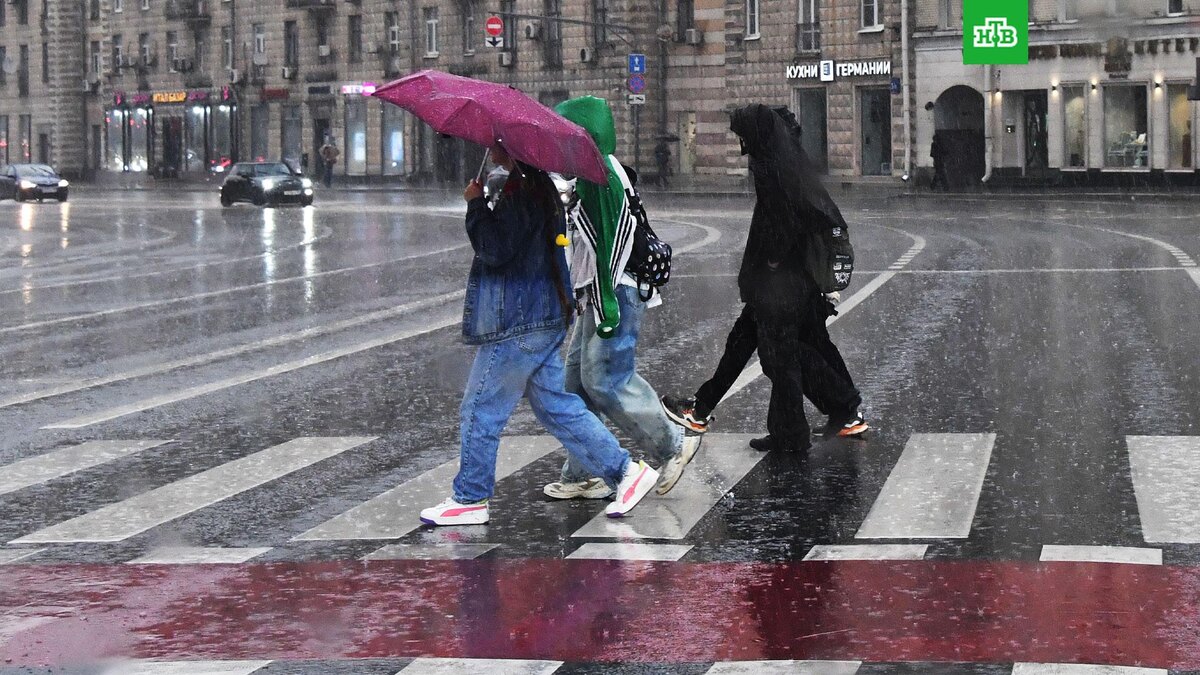    Фото: РИА Новости © 2025, Наталья Селиверстова