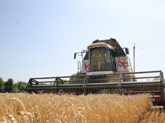    уборка // фото: donland.ru