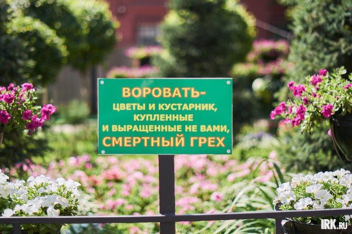    Табличка на городской клумбе. Фото Маргариты Романовой, IRK.ru