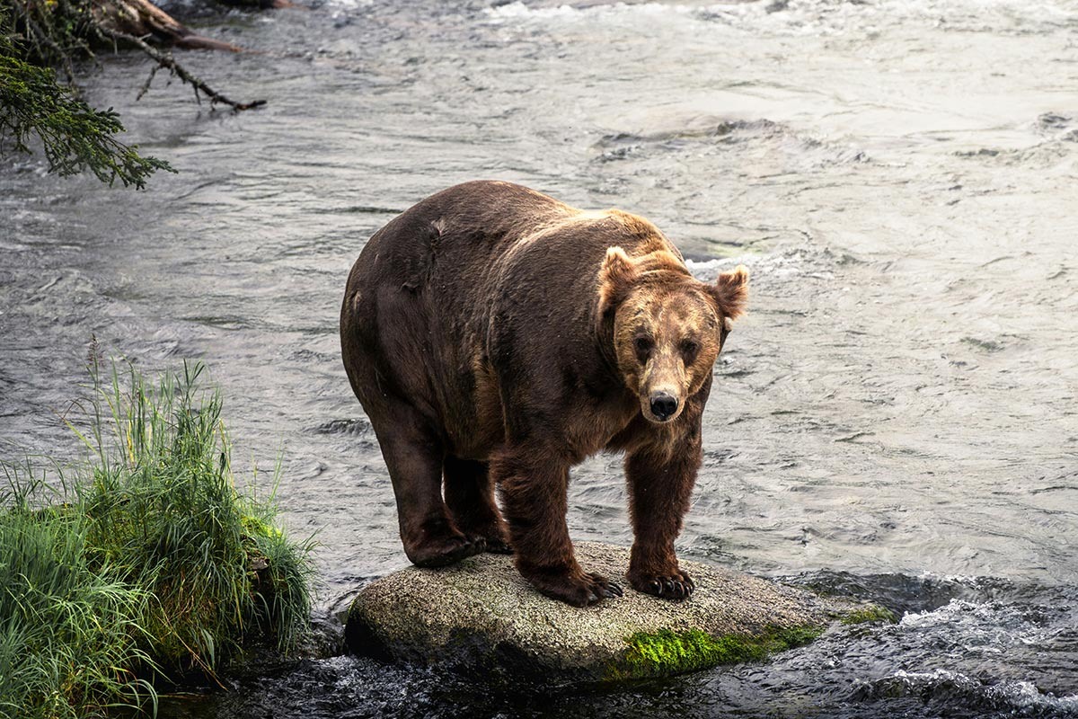    Фото: Pietro Donà / Unsplash.com
