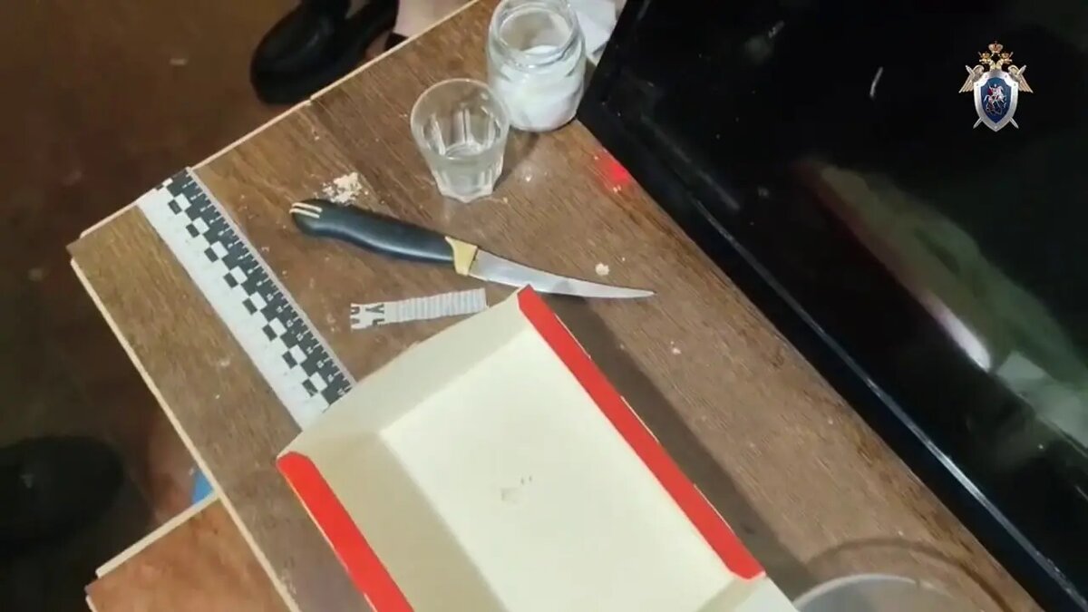    Фото: кадр видео ГУ МВД по Петербургу и Ленобласти