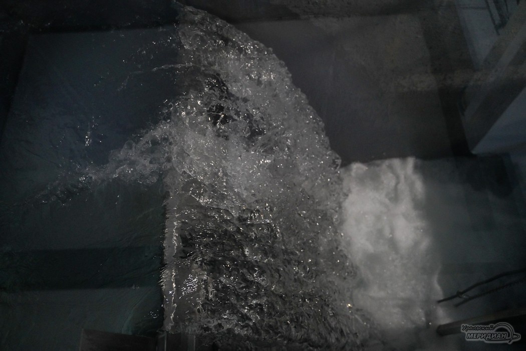    Фото: Лидия Аникина © ИА «Уральский меридиан»