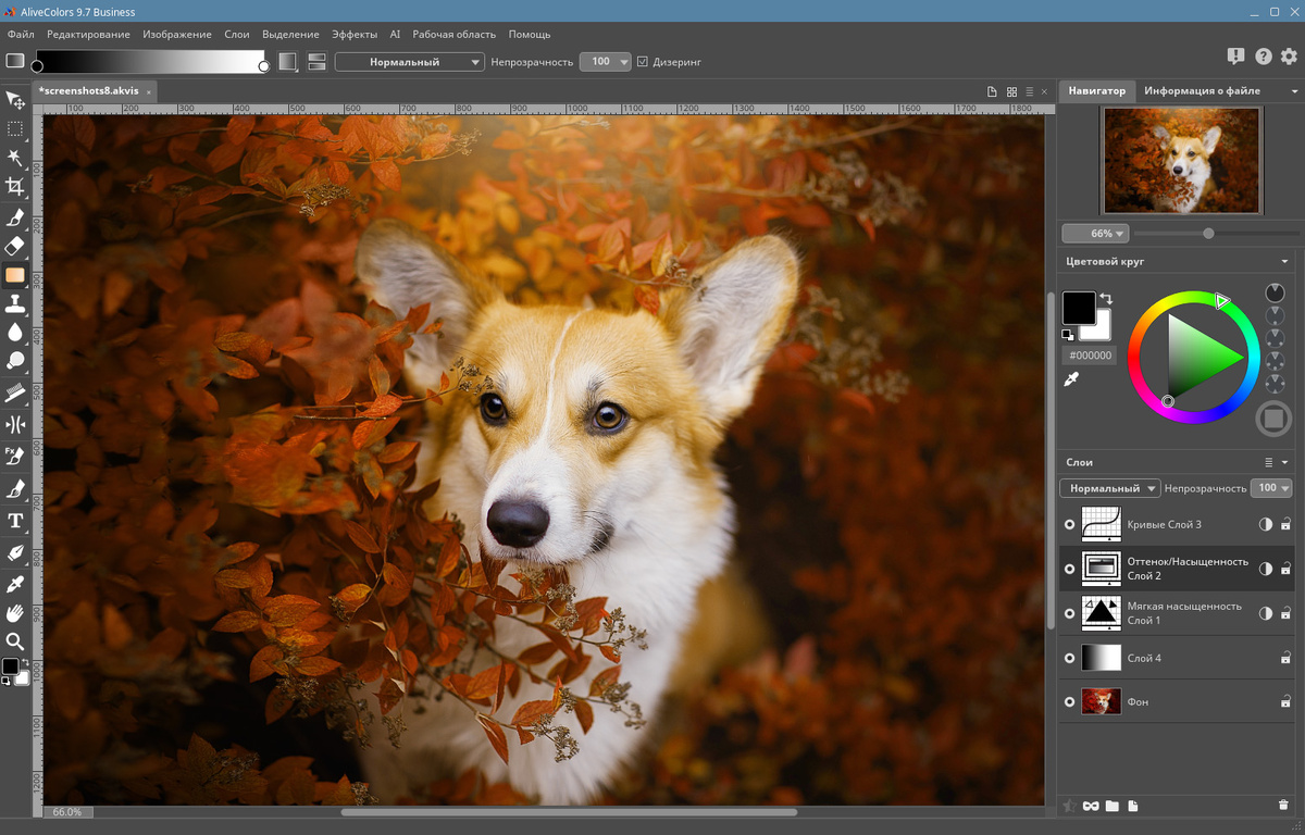 Графический редактор AliveColors. Применение корректирующих слоёв 