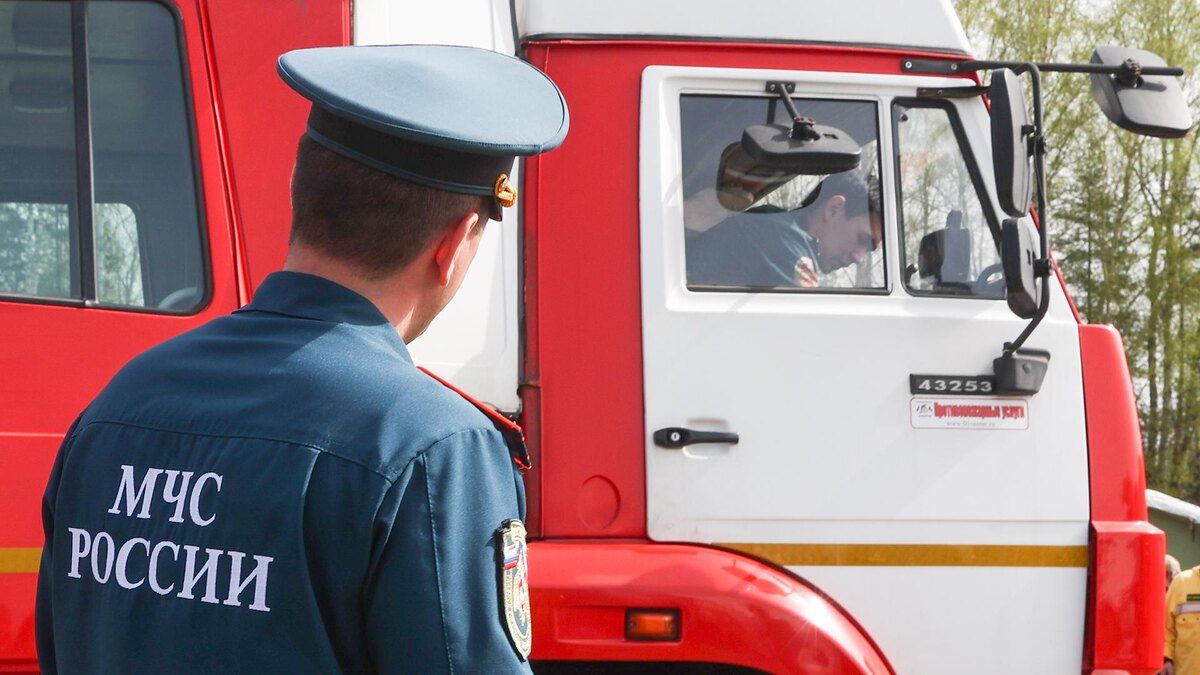    Фото: Petrov Sergey/globallookpress.com