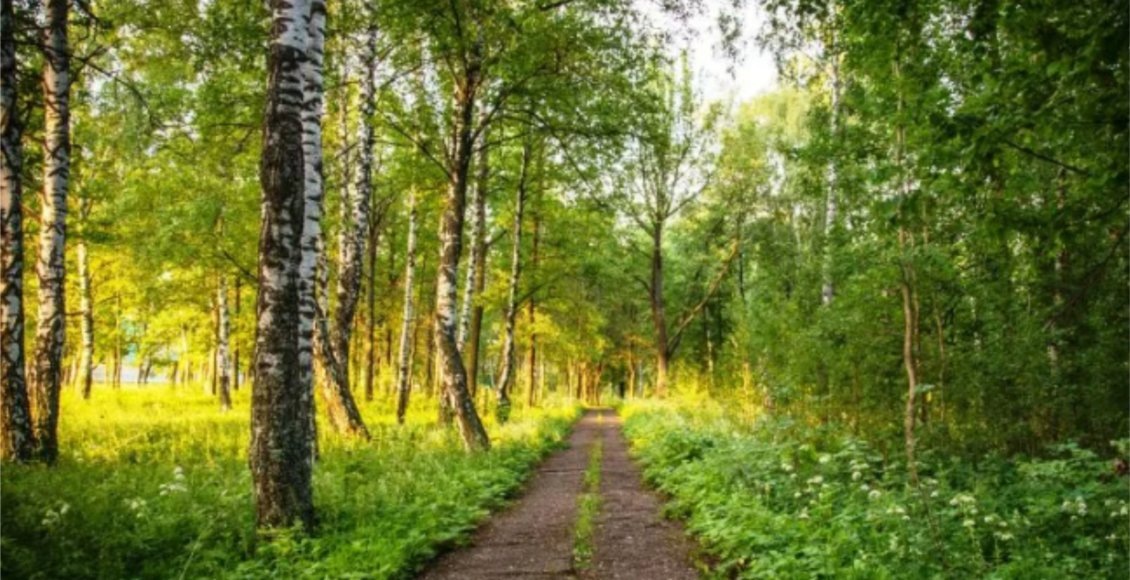    Фото: informpskov.ru