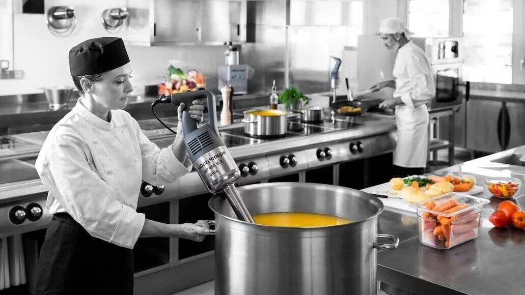 Миксер ручной Robot-coupe MP 450 Ultra V.V. Led на предприятии