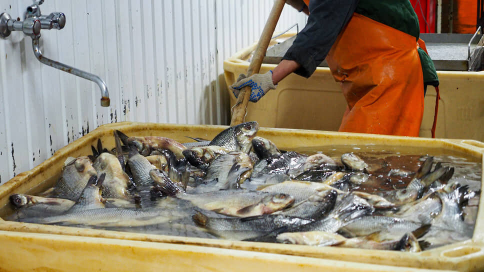 Фото: Евгения Яблонская / Коммерсантъ