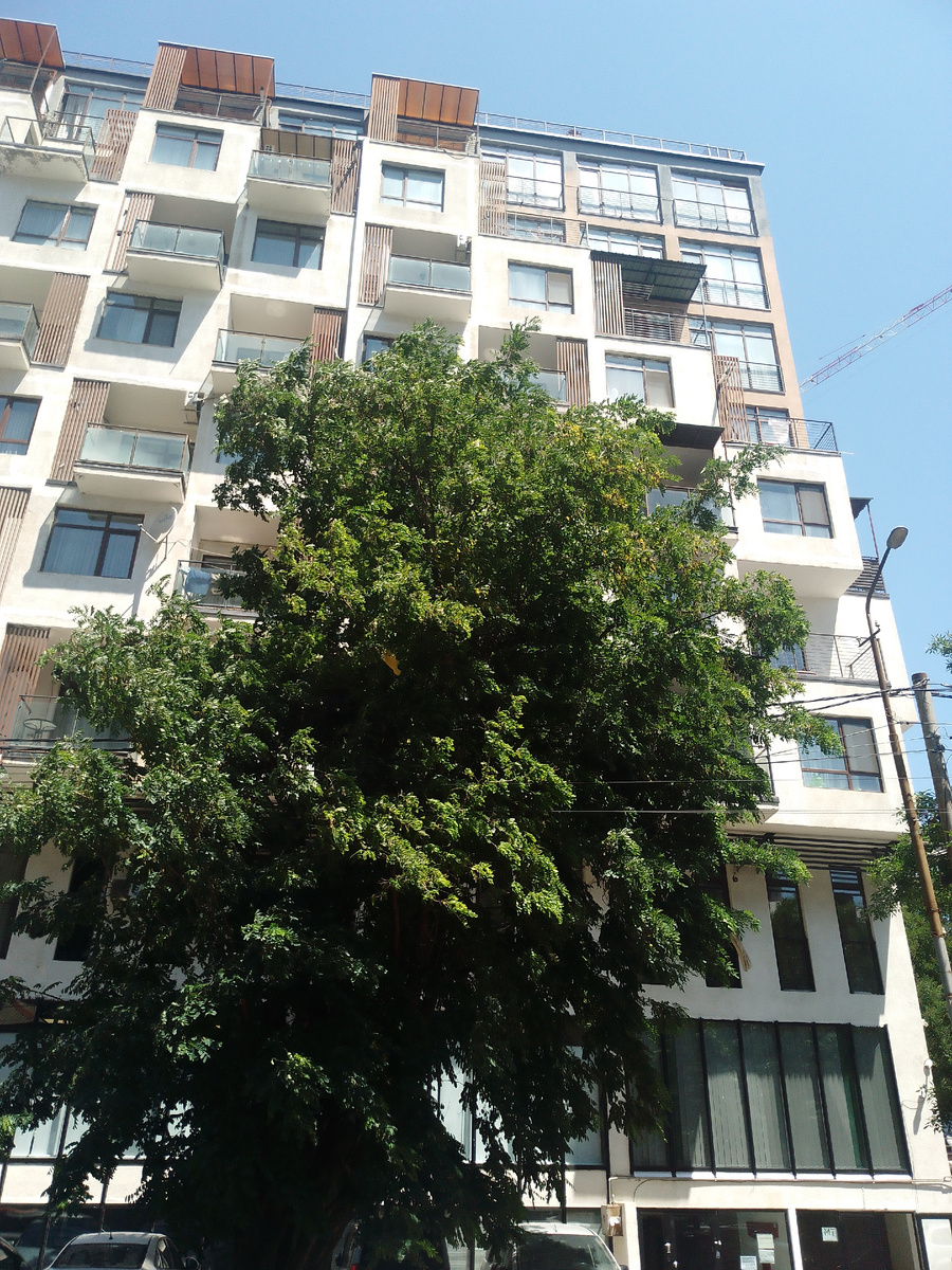 Извиняюсь за качество фото.