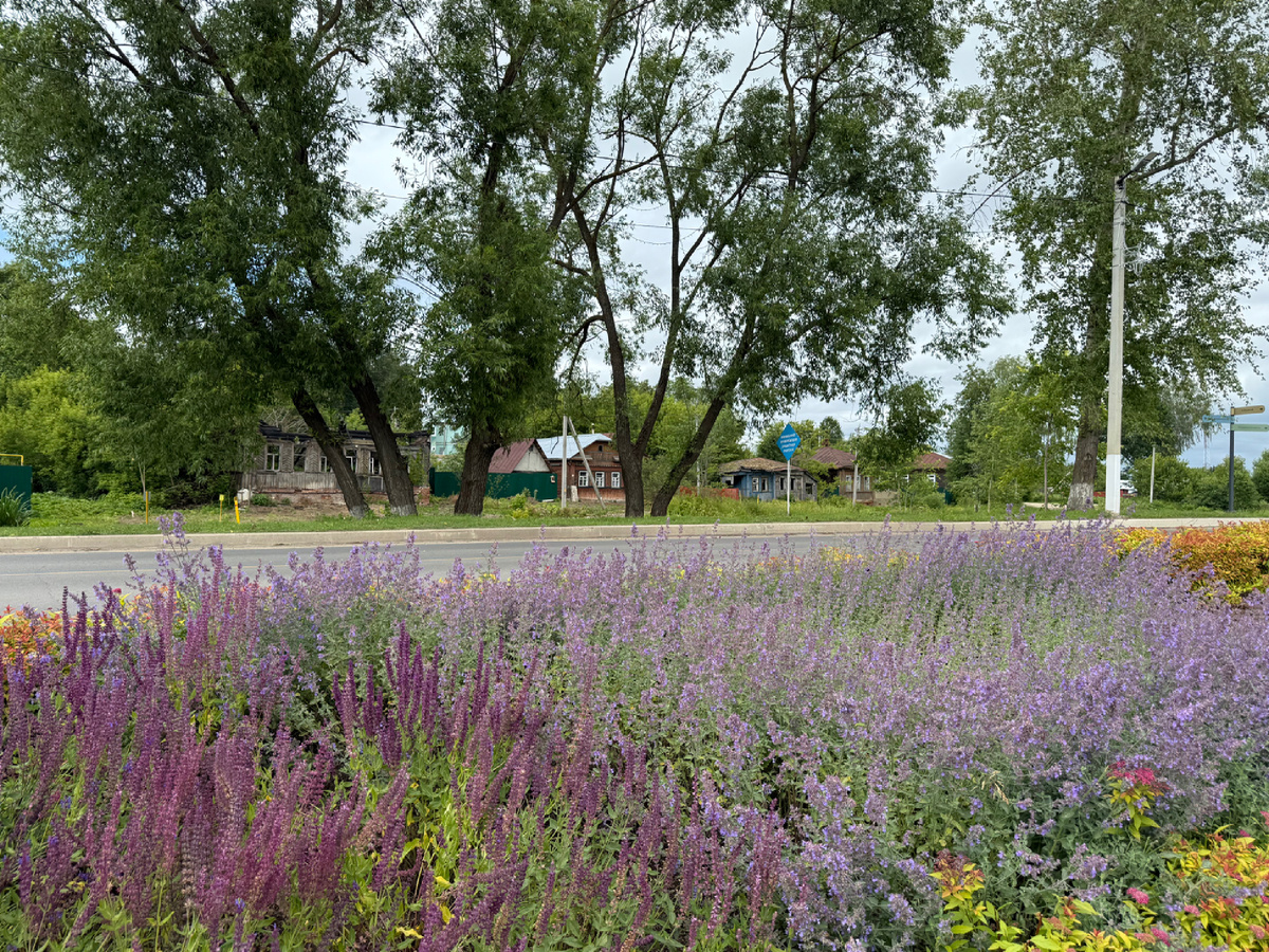 Разнотравье у реки и моста