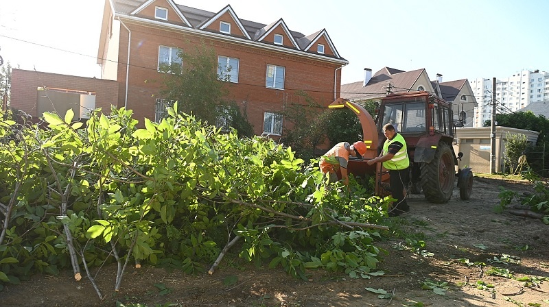    Фото: пресс-служба администрации Краснодара