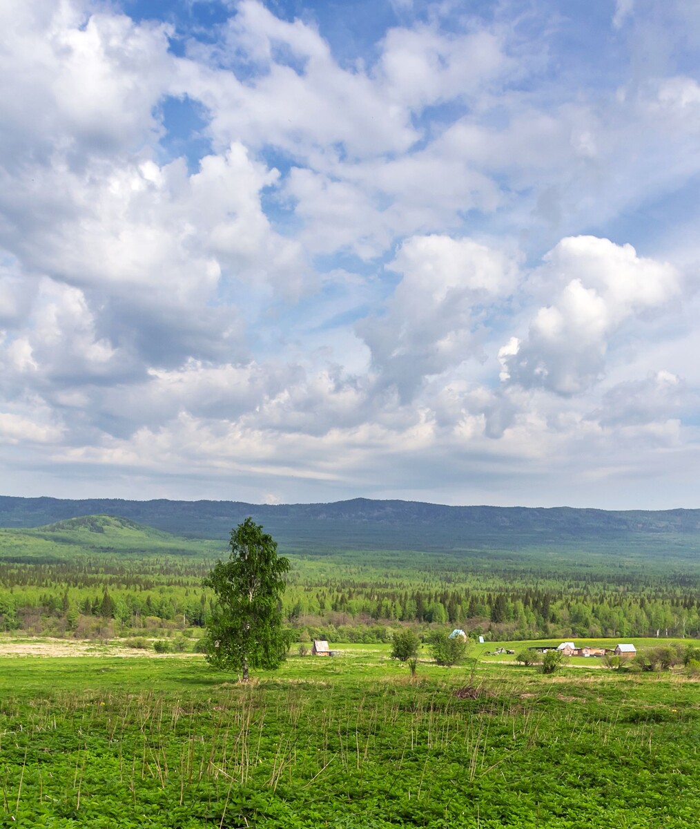 Куштумгинские поляны. Вид на хребет Большой Уральский.