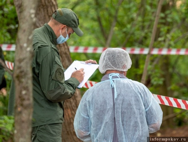 Фото: пресс-служба правительства Псковской области. Фотография носит иллюстративный характер