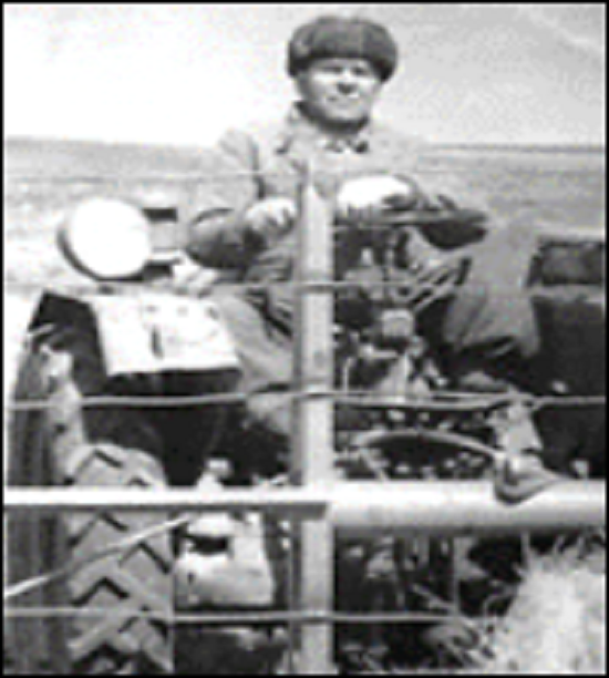 В летний период на заготовке кормов.