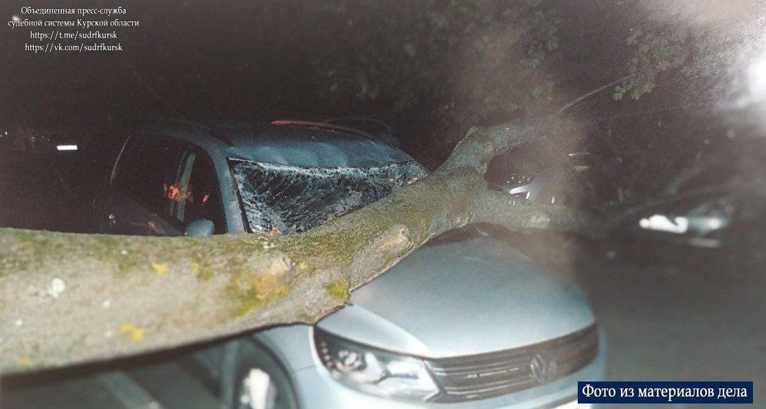 Фото: ОПСС Курской области