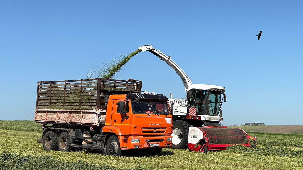 Фото Ольги ПРОКУДИНОЙ.