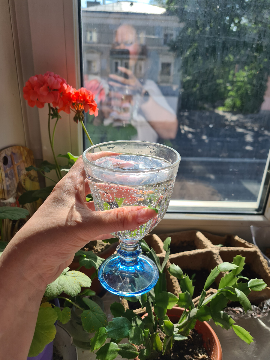 Фото из личного архива автора.