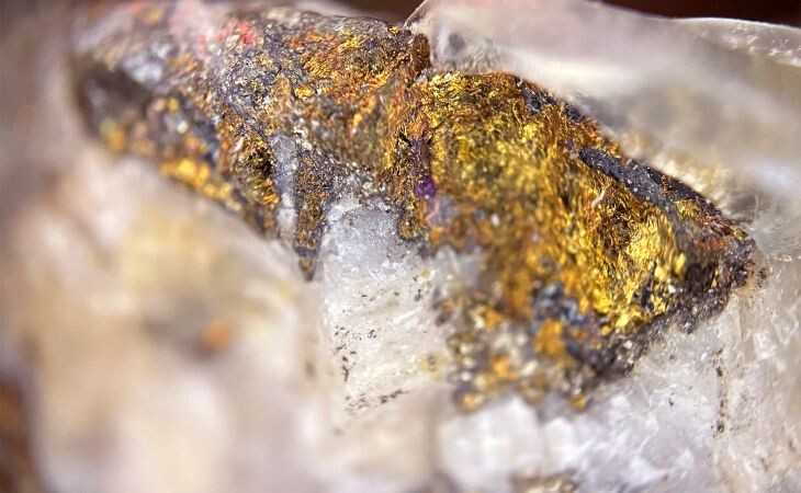 Фото: . freepik.com