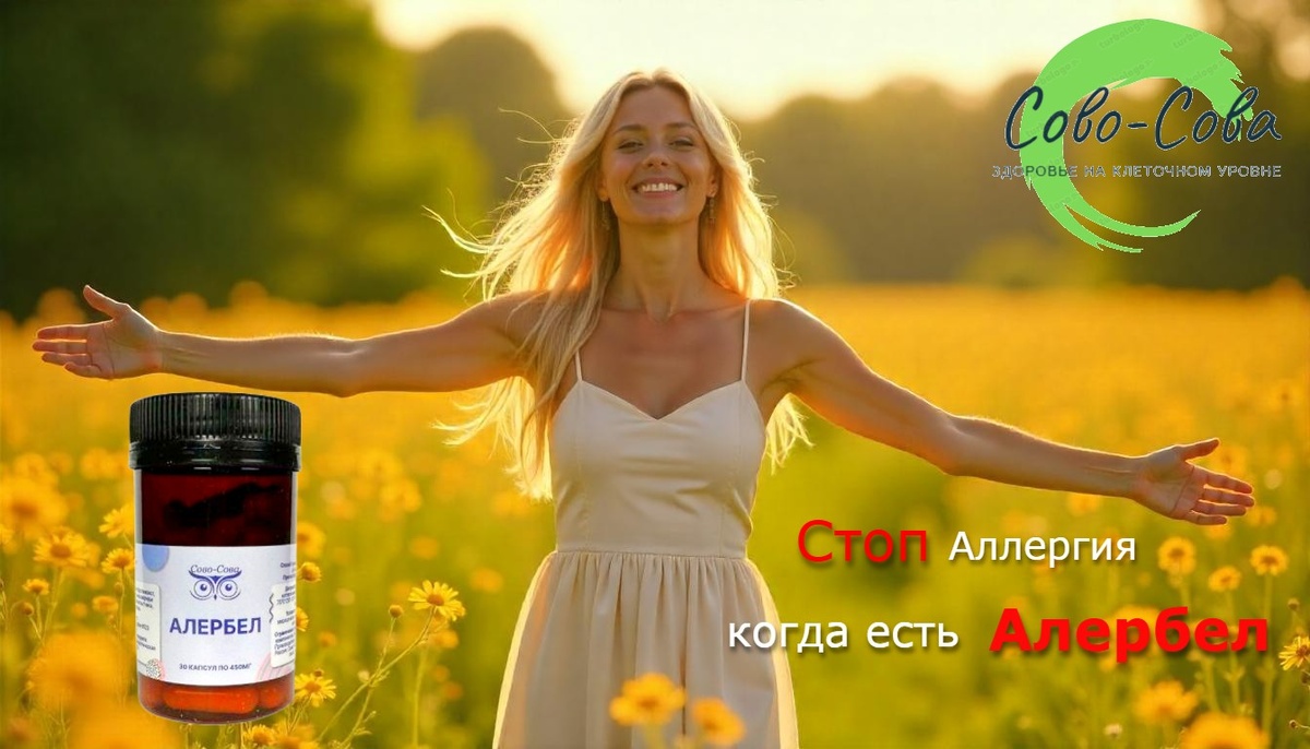 Алербел от Сово-Сова.                               изображение сгенерировано на freepik.ru