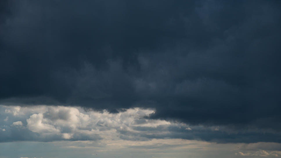 Фото: Олег Харсеев / Коммерсантъ