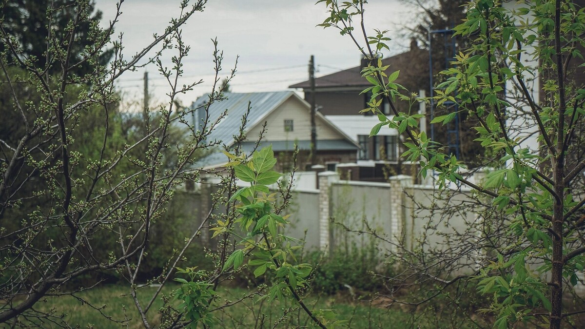     Источник: 1MI