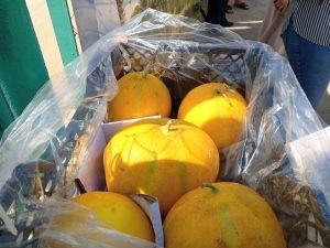 Фото пресс-службы Уральского управления Россельхознадзора