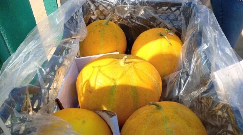 Фото: Уральское межрегиональное управление Россельхознадзора