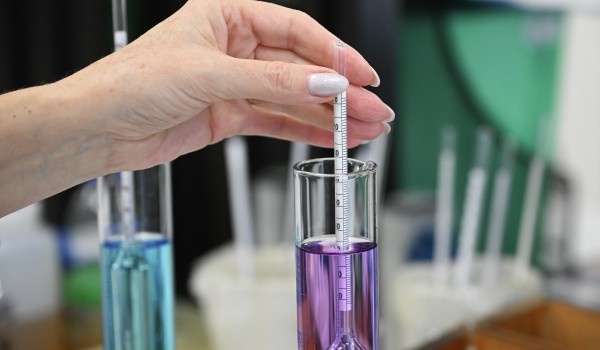 фото: РИА Новости/Константин Михальчевский