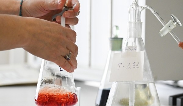 фото: РИА Новости/Константин Михальчевский