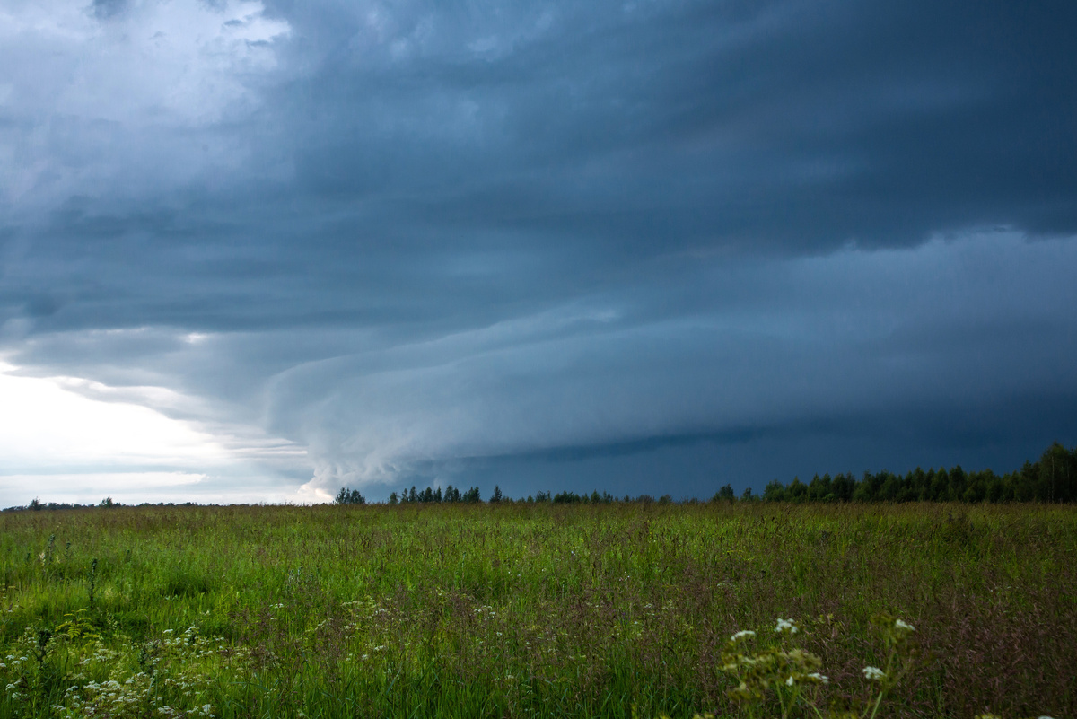 Фото Натальи Лариной. 